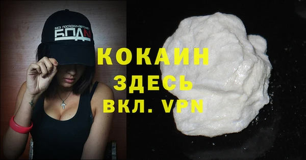 дживик Кинешма