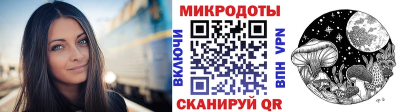 Купить  Змеиногорск  Псилоцибиновые грибы Psilocybe 